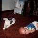 Baby Anthony