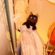 Shiloh the cat.