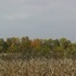 Blue Marsh Lake