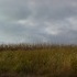 Blue Marsh Lake