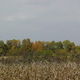 Blue Marsh Lake