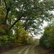 Blue Marsh Lake