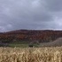 Backroads and Fall Scenery around State College