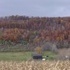 Backroads and Fall Scenery around State College