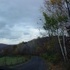 Backroads and Fall Scenery around State College