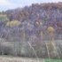 Backroads and Fall Scenery around State College