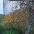Backroads and Fall Scenery around State College