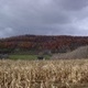 Backroads and Fall Scenery around State College