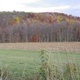 Backroads and Fall Scenery around State College
