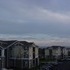 A Praying Mantis, and Some Clouds