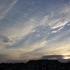 A Praying Mantis, and Some Clouds