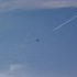 A Praying Mantis, and Some Clouds