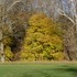 Valley Forge Park and King of Prussia