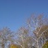Valley Forge Park and King of Prussia