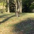 Valley Forge Park and King of Prussia