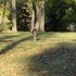 Valley Forge Park and King of Prussia