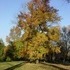 Valley Forge Park and King of Prussia