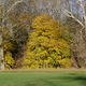 Valley Forge Park and King of Prussia