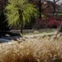 Longwood Gardens.