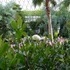 Longwood Gardens.