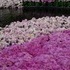 Longwood Gardens.