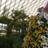 Longwood Gardens.