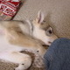 New Year's Eve at Brian and Heidi's house.