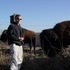 The Beefalo, need I say more??