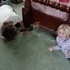 Shiloh's Kittens.