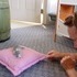 Shiloh's Kittens.