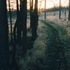 Hiking 36 miles of the Appalachian Trail.