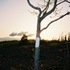 Hiking 36 miles of the Appalachian Trail.