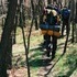 Hiking 36 miles of the Appalachian Trail.