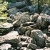 Hiking 36 miles of the Appalachian Trail.