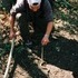 Hiking 36 miles of the Appalachian Trail.