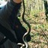 Hiking 36 miles of the Appalachian Trail.
