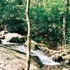 Hiking 36 miles of the Appalachian Trail.