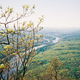 Hiking 36 miles of the Appalachian Trail.