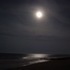 Crabs and night photos at Bethany Beach, Delaware.