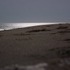 Crabs and night photos at Bethany Beach, Delaware.