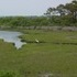 Assateague Island, Maryland.  Don't believe the hype.
