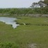 Assateague Island, Maryland.  Don't believe the hype.