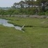 Assateague Island, Maryland.  Don't believe the hype.