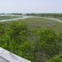 Assateague Island, Maryland.  Don't believe the hype.