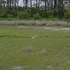Assateague Island, Maryland. Don't believe the hype.
