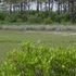 Assateague Island, Maryland. Don't believe the hype.