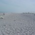 Assateague Island, Maryland.  Don't believe the hype.