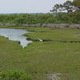 Assateague Island, Maryland. Don't believe the hype.