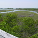 Assateague Island, Maryland. Don't believe the hype.