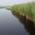 New Jersey Shore